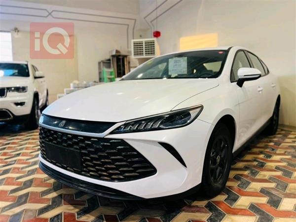 بی وای دی Qin Plus 2025  بۆ فرۆشتن لە عێراق - نەجەف